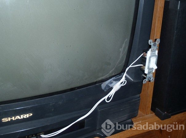 Kedisi için yüz tanıma teknolojisi geliştirdi

