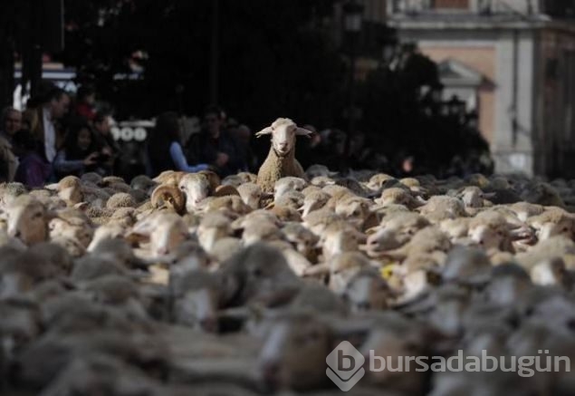 Sosyal medyada günün en çok paylaşılan fotoğrafları
