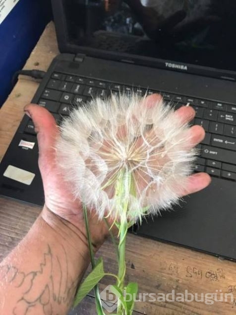 Sosyal medyada günün en çok paylaşılan fotoğrafları
