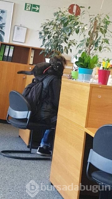 Sosyal medyada günün en çok paylaşılan fotoğrafları
