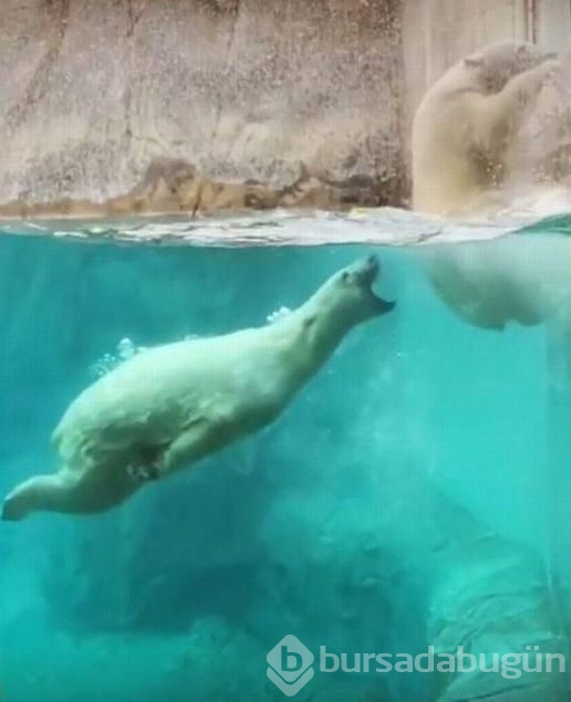 Sosyal medyada günün en çok paylaşılan fotoğrafları
