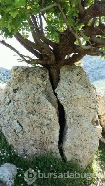 Sosyal medyada günün en çok paylaşılan fotoğrafları
