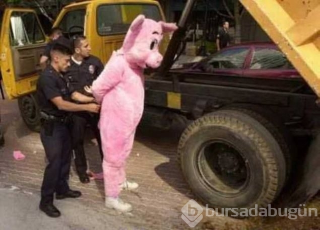 Sosyal medyada günün en çok paylaşılan fotoğrafları
