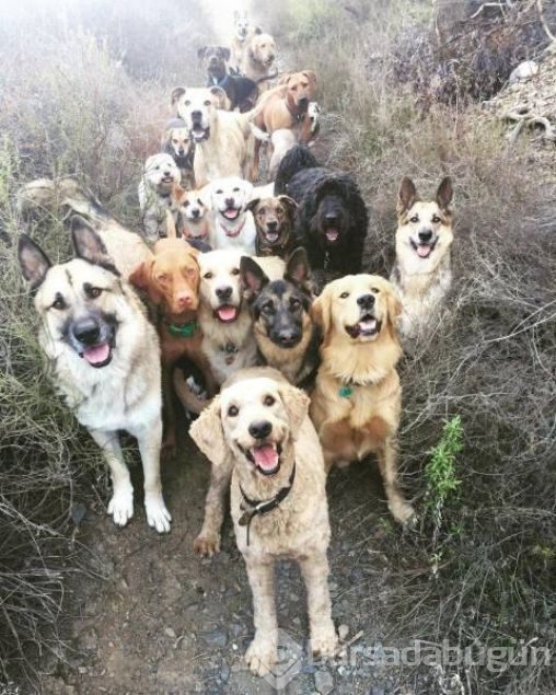 Sosyal medyada günün en çok paylaşılan fotoğrafları
