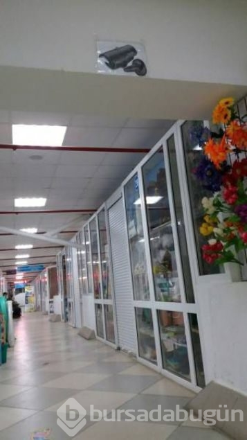Sosyal medyada günün en çok paylaşılan fotoğrafları
