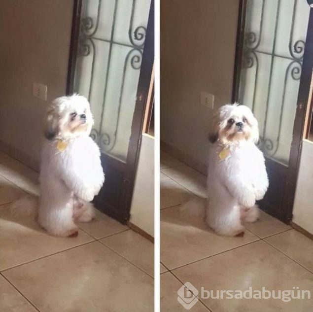 Sosyal medyada günün en çok paylaşılan fotoğrafları
