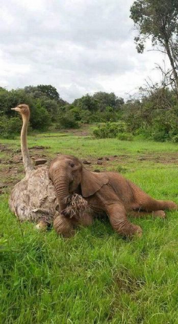 Sosyal medyada günün en çok paylaşılan fotoğrafları
