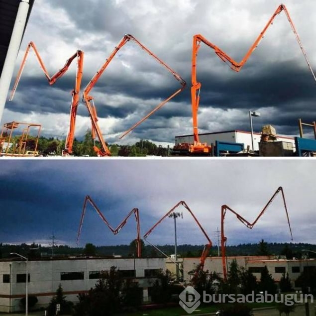 Sosyal medyada günün en çok paylaşılan fotoğrafları
