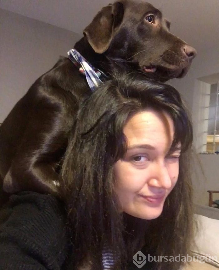 Gonca Vuslateri köpekleri için taşınıyor! (Ünlülerin hayvanları)