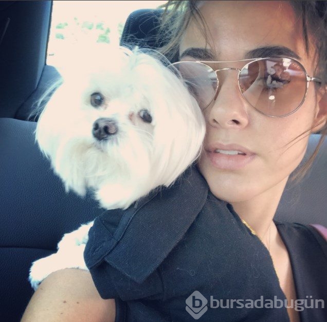 Gonca Vuslateri köpekleri için taşınıyor! (Ünlülerin hayvanları)