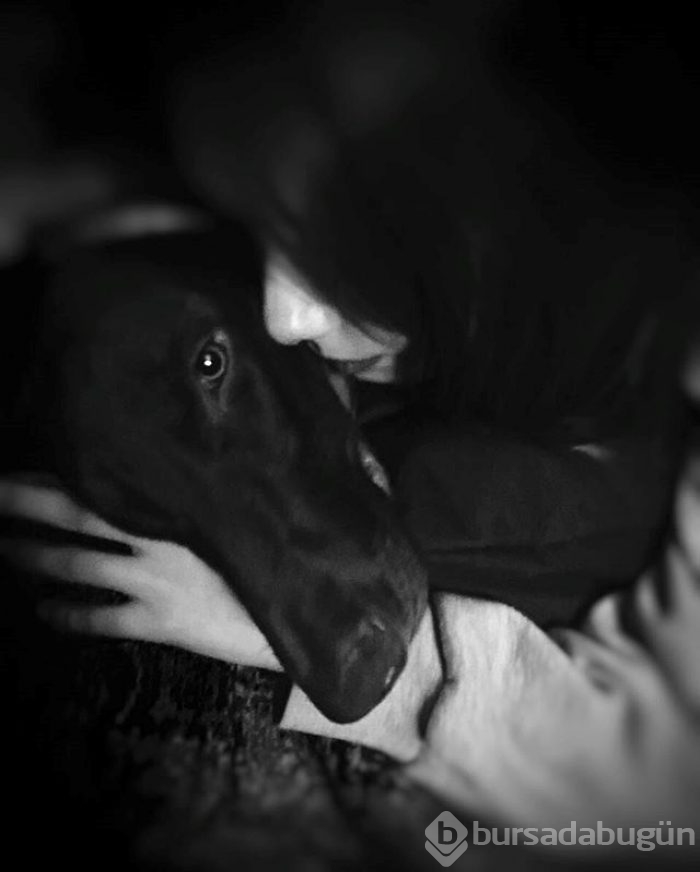 Gonca Vuslateri köpekleri için taşınıyor! (Ünlülerin hayvanları)