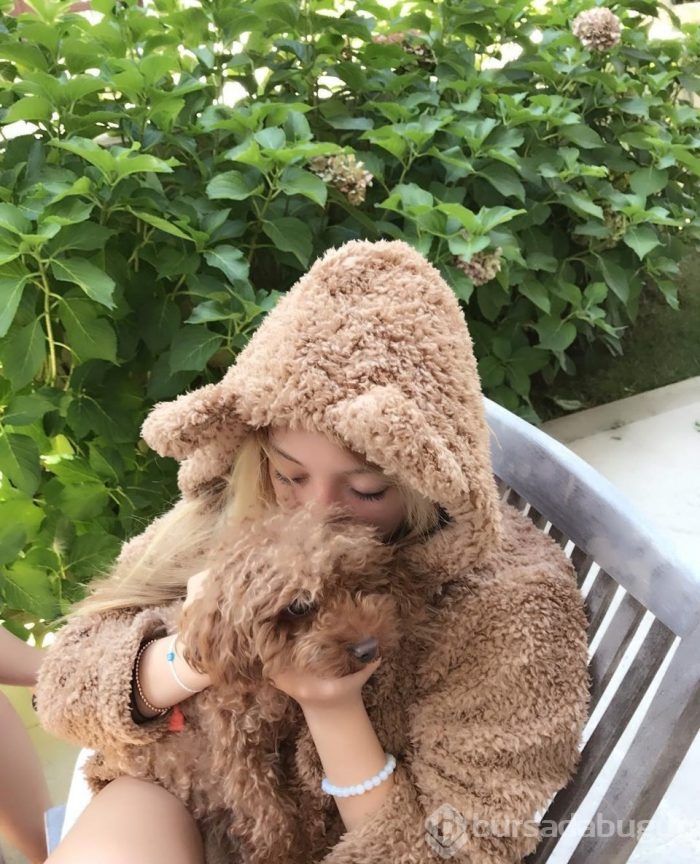 Gonca Vuslateri köpekleri için taşınıyor! (Ünlülerin hayvanları)
