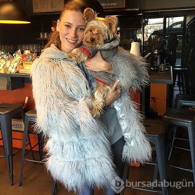 Gonca Vuslateri köpekleri için taşınıyor! (Ünlülerin hayvanları)