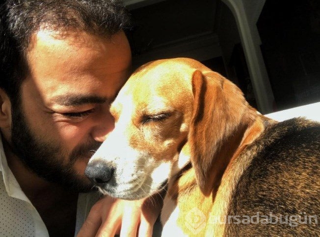 Gonca Vuslateri köpekleri için taşınıyor! (Ünlülerin hayvanları)