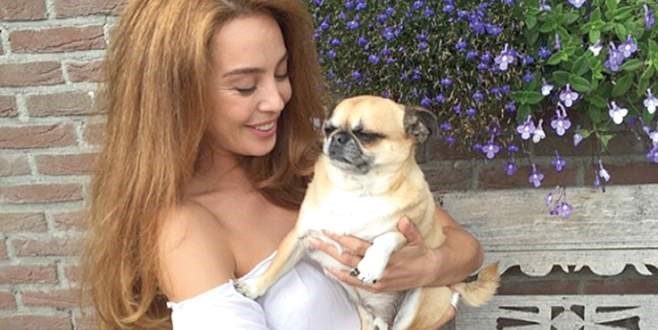 Gonca Vuslateri köpekleri için taşınıyor! (Ünlülerin hayvanları)