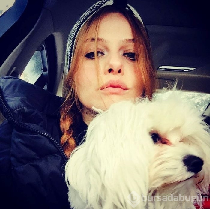 Gonca Vuslateri köpekleri için taşınıyor! (Ünlülerin hayvanları)