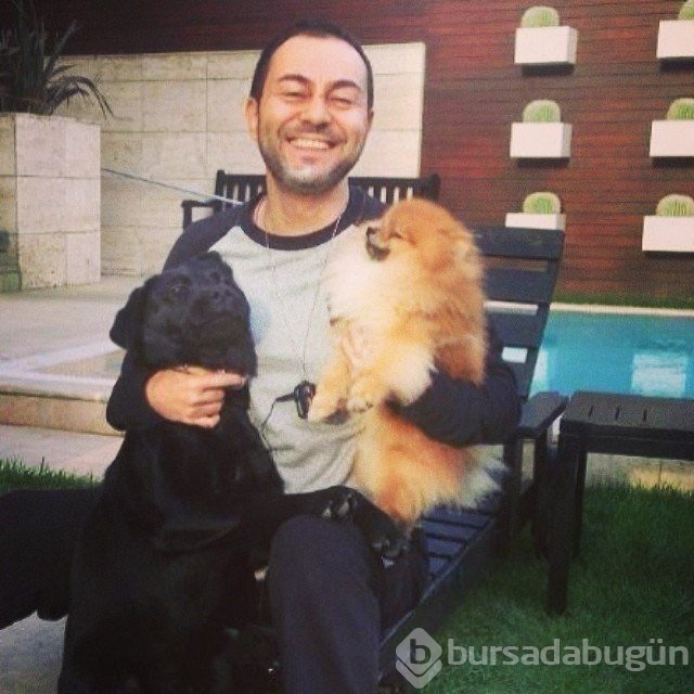 Gonca Vuslateri köpekleri için taşınıyor! (Ünlülerin hayvanları)
