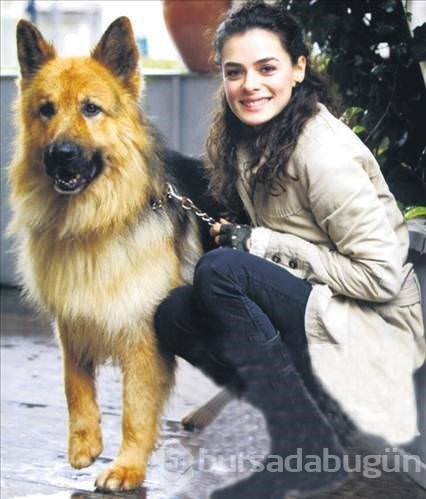 Gonca Vuslateri köpekleri için taşınıyor! (Ünlülerin hayvanları)
