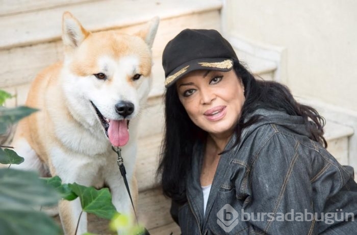 Gonca Vuslateri köpekleri için taşınıyor! (Ünlülerin hayvanları)