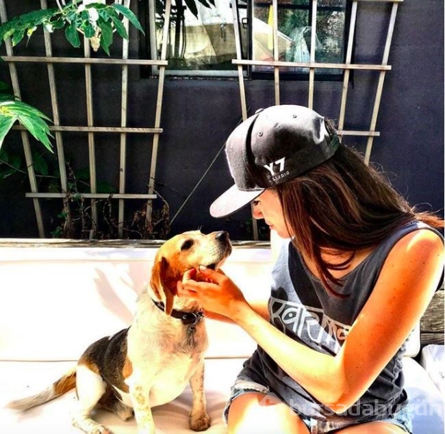 Gonca Vuslateri köpekleri için taşınıyor! (Ünlülerin hayvanları)