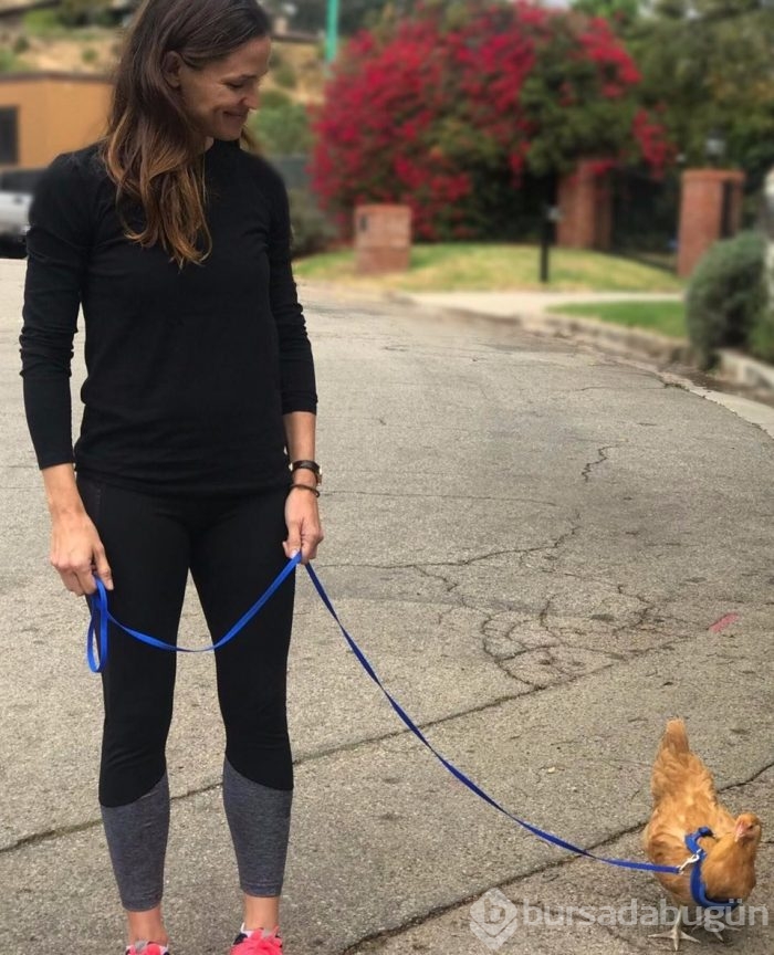 Gonca Vuslateri köpekleri için taşınıyor! (Ünlülerin hayvanları)