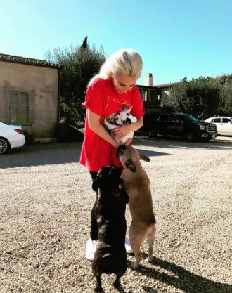 Gonca Vuslateri köpekleri için taşınıyor! (Ünlülerin hayvanları)