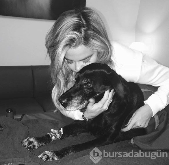 Gonca Vuslateri köpekleri için taşınıyor! (Ünlülerin hayvanları)