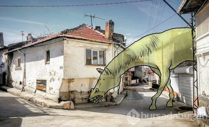 Dev illüstrasyonlarla sokakların hikayeleri
