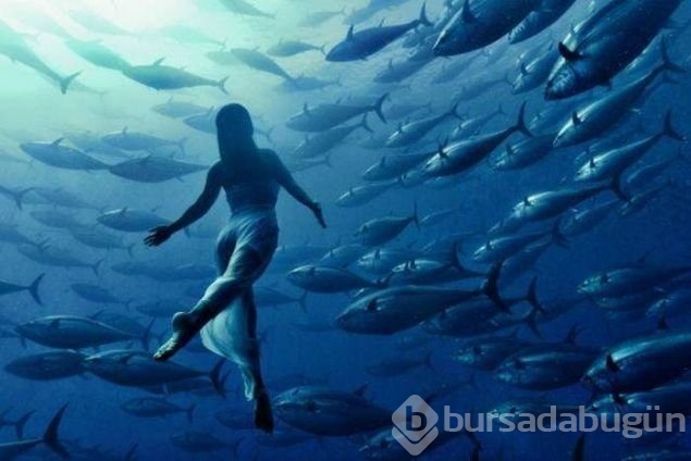 O anlar hayran bırakıyor
