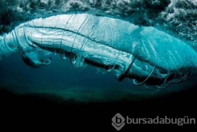 O anlar hayran bırakıyor
