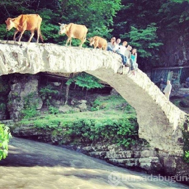 O anlar hayran bırakıyor

