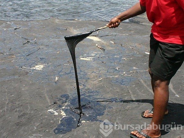 Zift gölü şaşırtıyor
