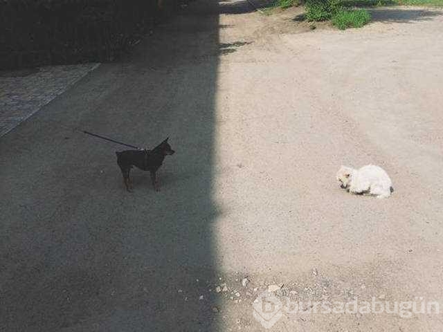Günün en çok paylaşılan fotoğrafları
