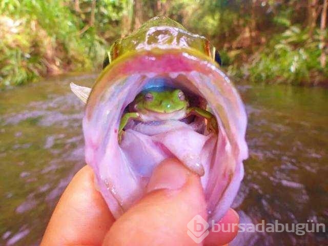 Günün en çok paylaşılan fotoğrafları
