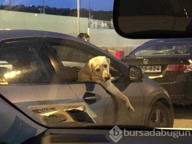 Günün en çok paylaşılan fotoğrafları

