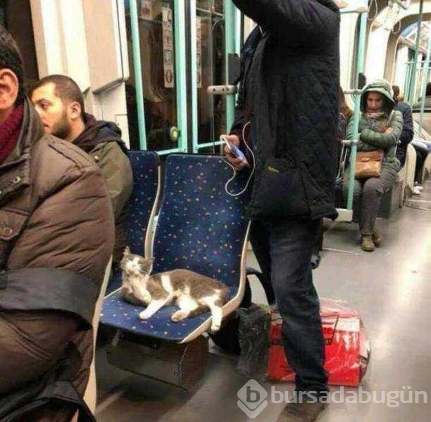 Günün en çok paylaşılan fotoğrafları
