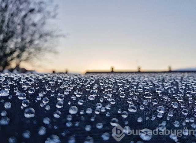 Günün en çok paylaşılan fotoğrafları
