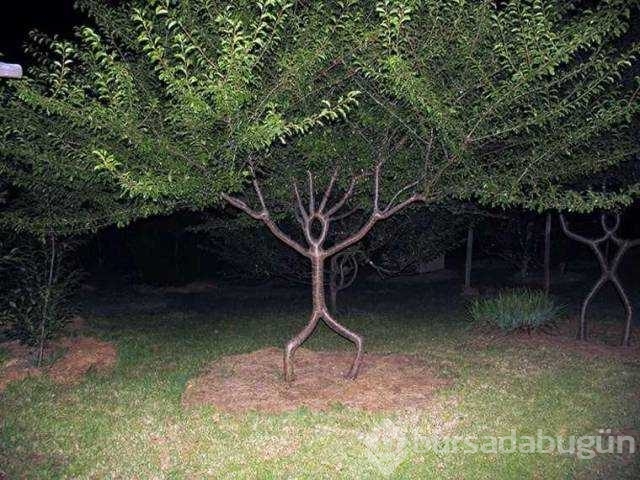 Günün en çok paylaşılan fotoğrafları
