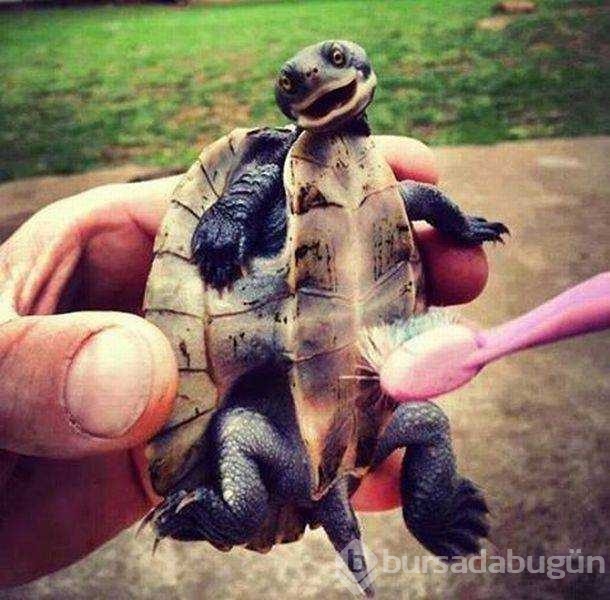 Günün en çok paylaşılan fotoğrafları
