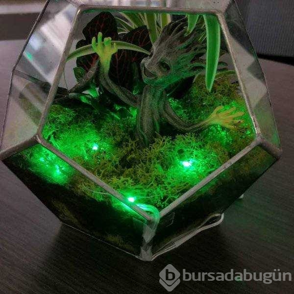 Günün en çok paylaşılan fotoğrafları
