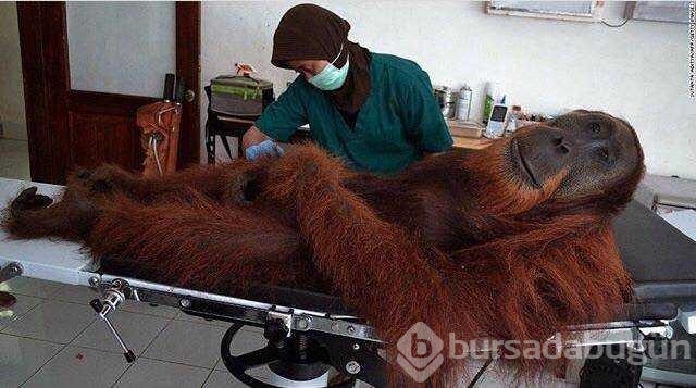 Günün en çok paylaşılan fotoğrafları
