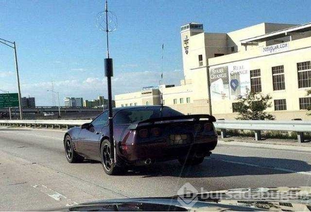 Günün en çok paylaşılan fotoğrafları
