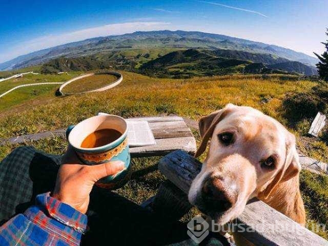 Günün en çok paylaşılan fotoğrafları
