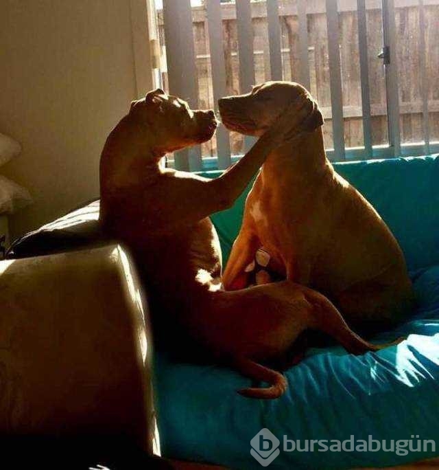 Günün en çok paylaşılan fotoğrafları
