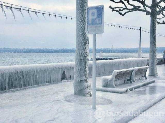 Günün en çok paylaşılan fotoğrafları
