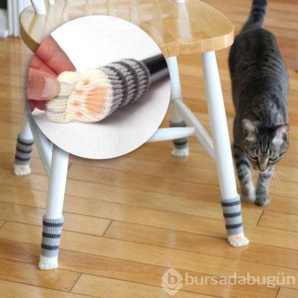 Günün en çok paylaşılan fotoğrafları

