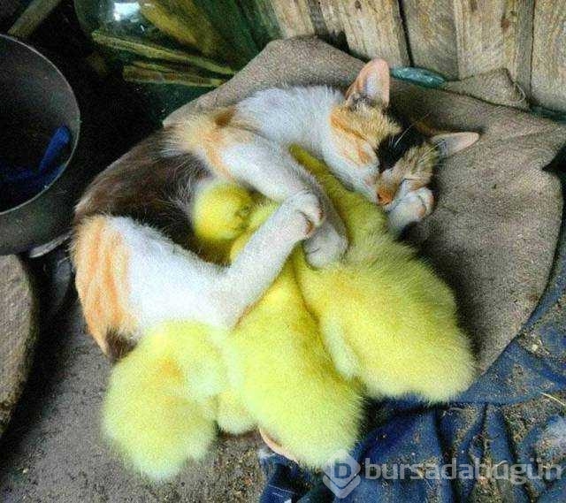 Günün en çok paylaşılan fotoğrafları
