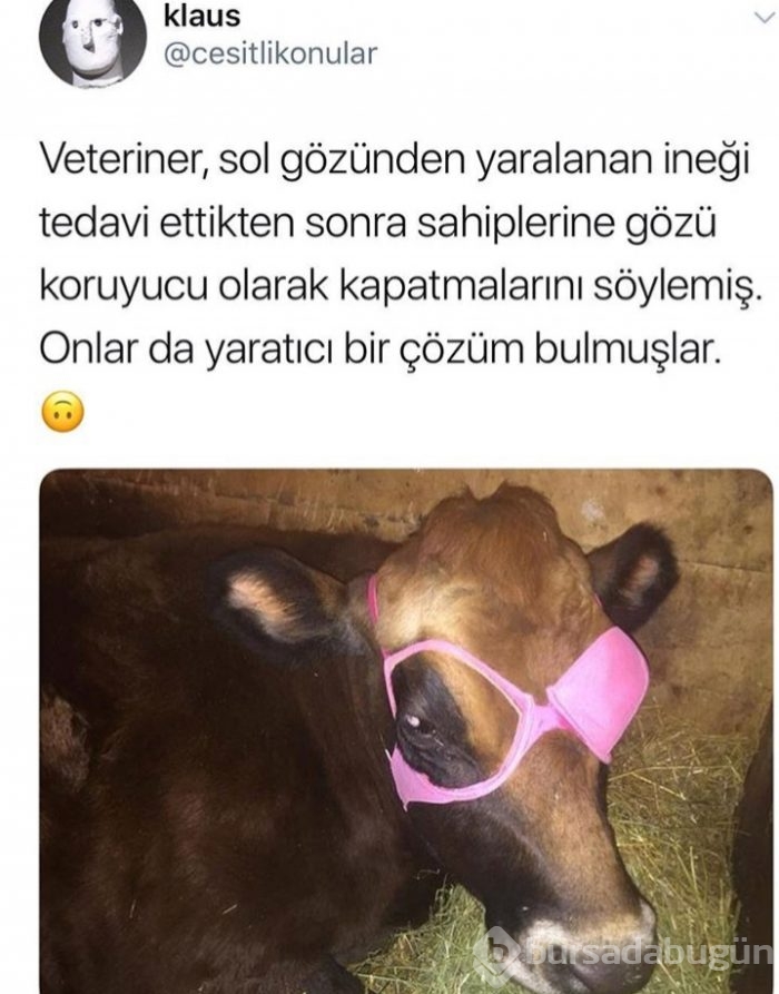 Haftanın En Komik Tweet'leri!