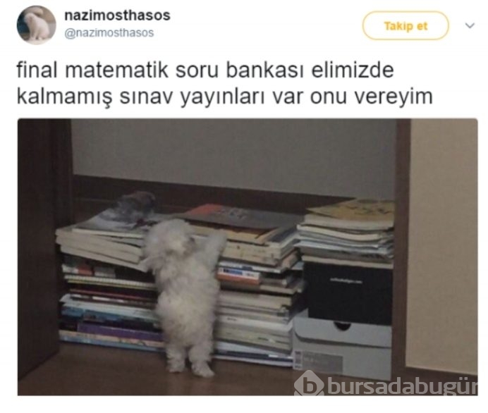 Haftanın En Komik Tweet'leri!