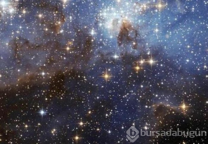 Bu bilgilere çok şaşıracaksınız...
